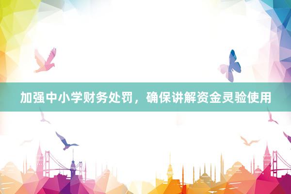 加强中小学财务处罚，确保讲解资金灵验使用