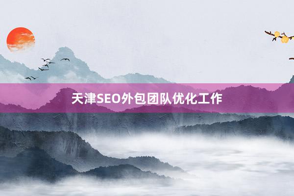 天津SEO外包团队优化工作
