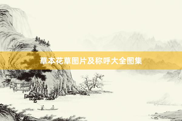 草本花草图片及称呼大全图集